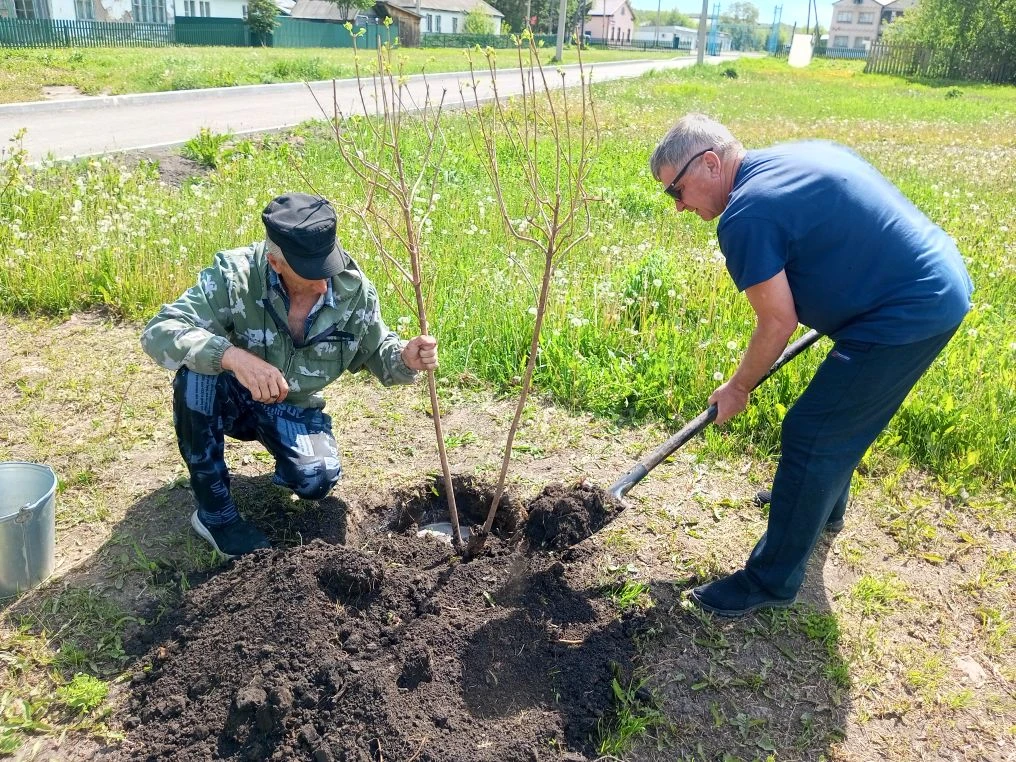🌺 Цветущая территория совместными усилиями