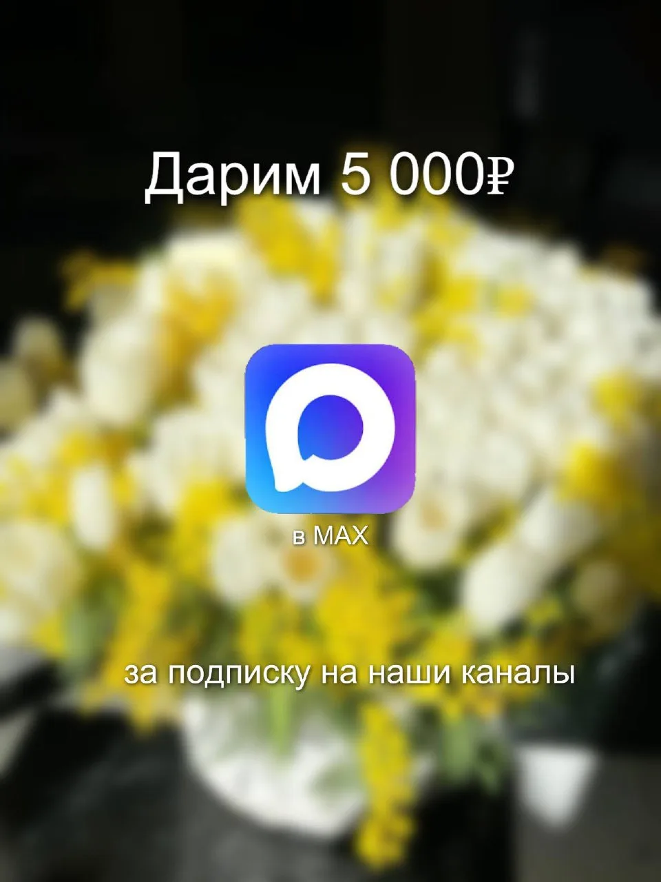 ДАРИМ 5 000₽