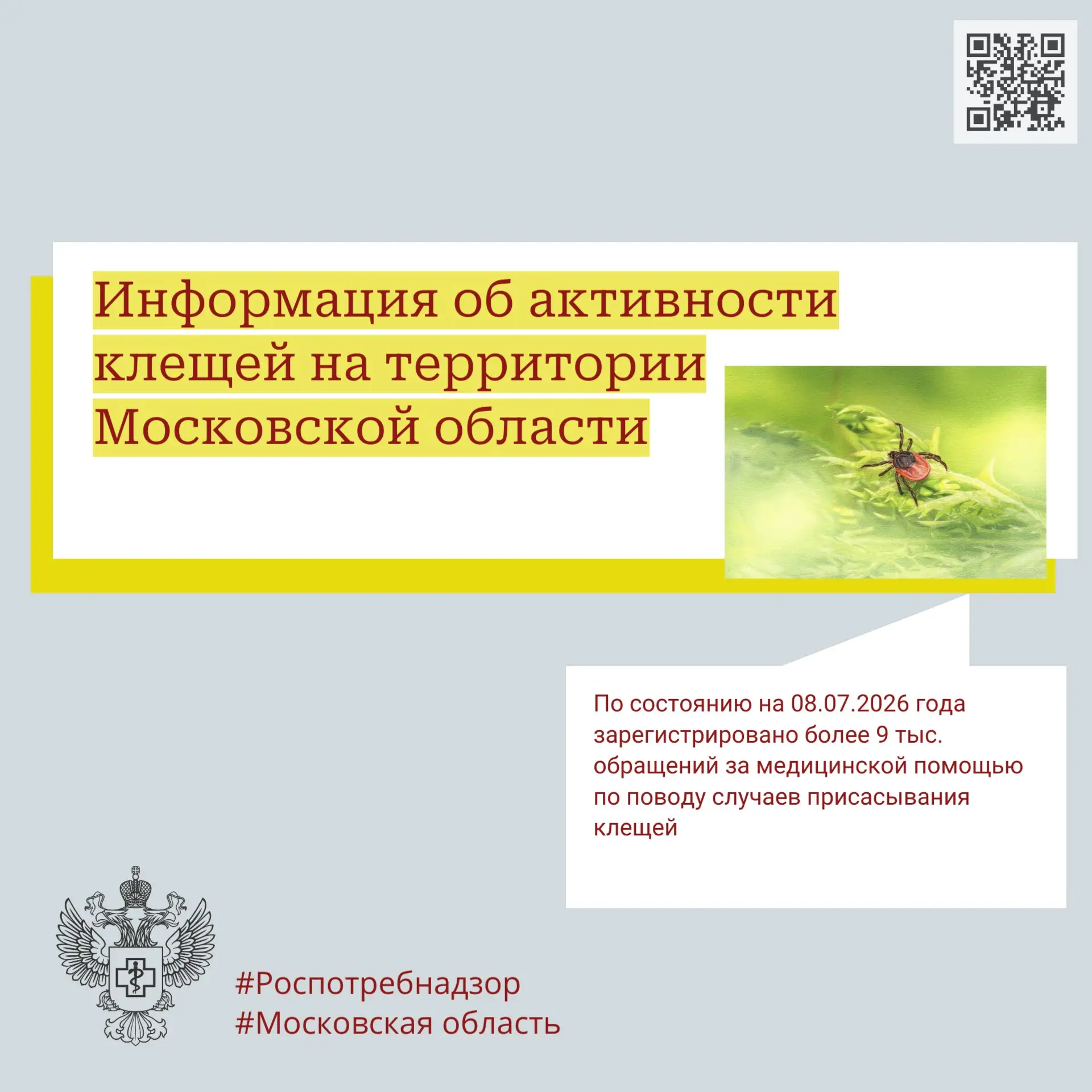 Управление Роспотребнадзора по Московской области информирует об активности клещей на территории Мос