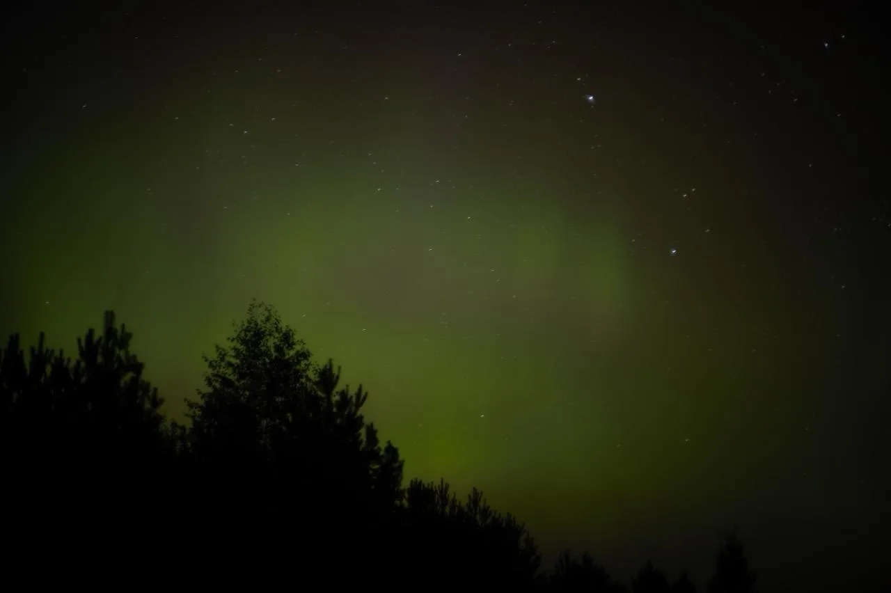 Северное сияние в Нижне-Свирском заповеднике. 💚✨