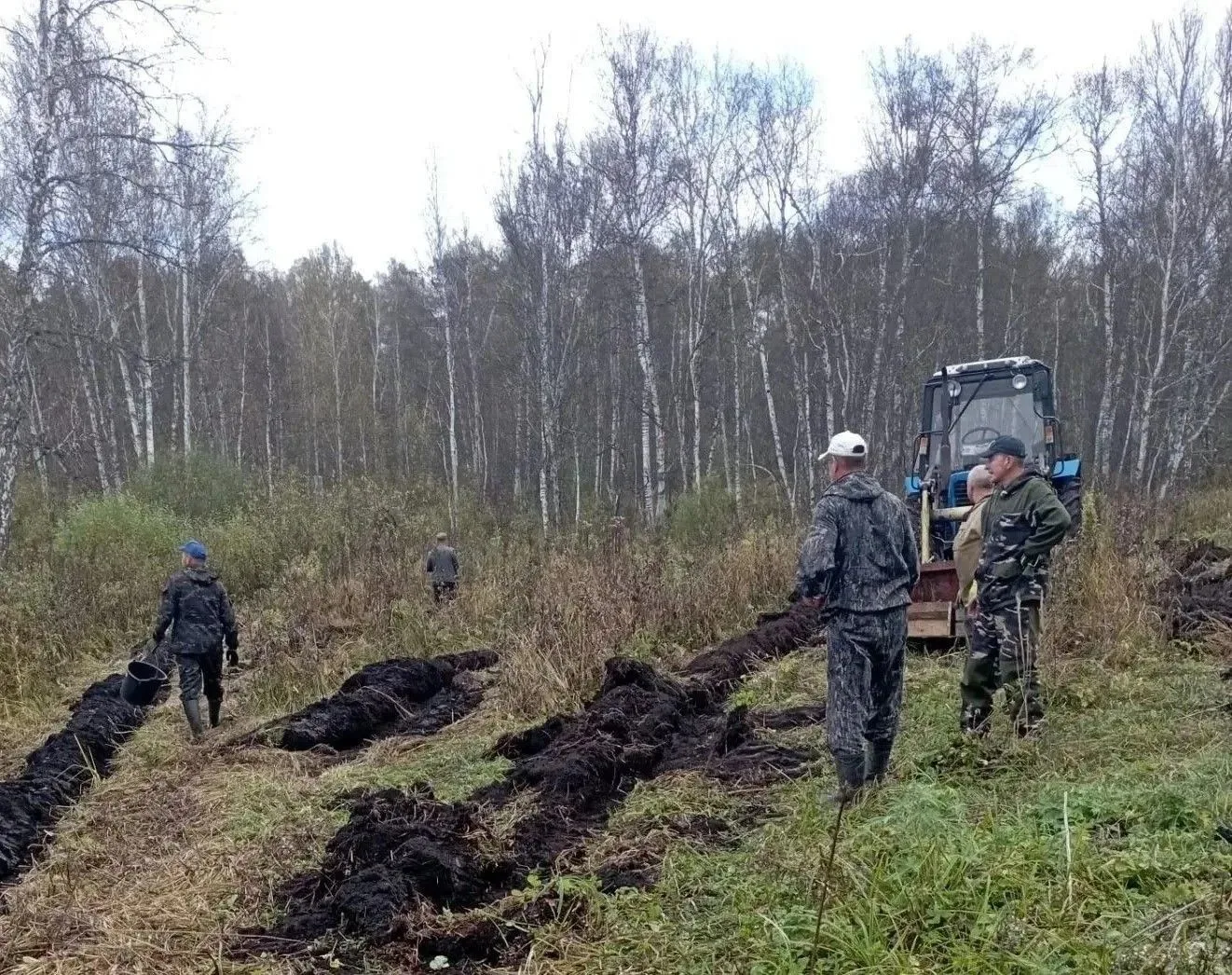 «Сохраним лес»: более 80 тысяч деревьев высадили в Залесовском лесничестве