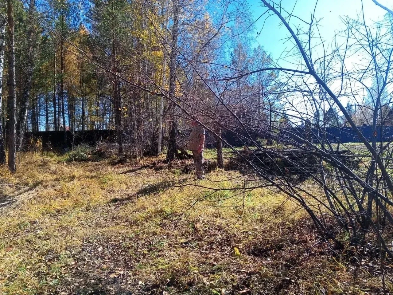Медвежий помёт нашли в городе