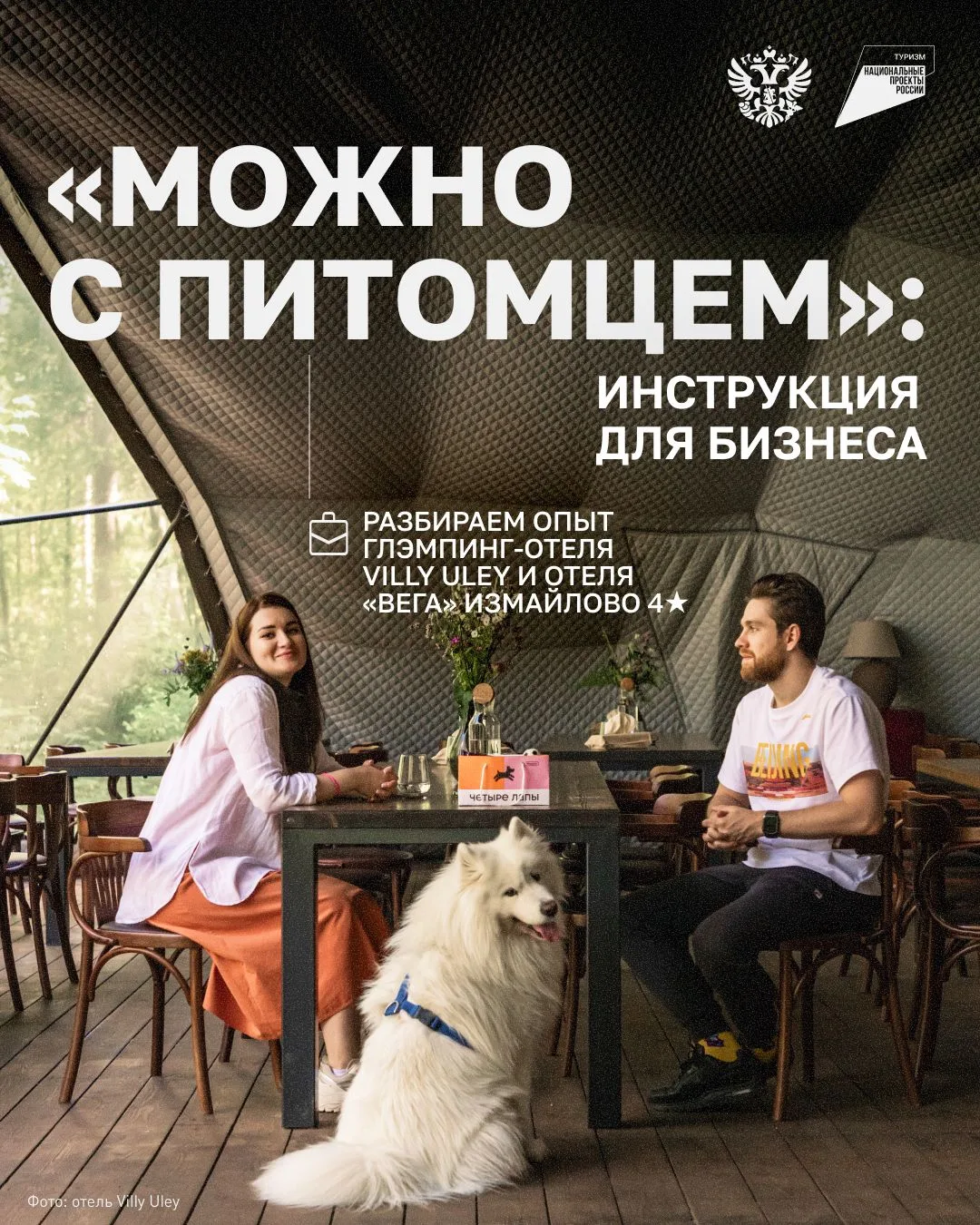 Заселяем хвостатых в отель 🐶 

Все больше путешественников отправляются в поездки вместе с питомцам