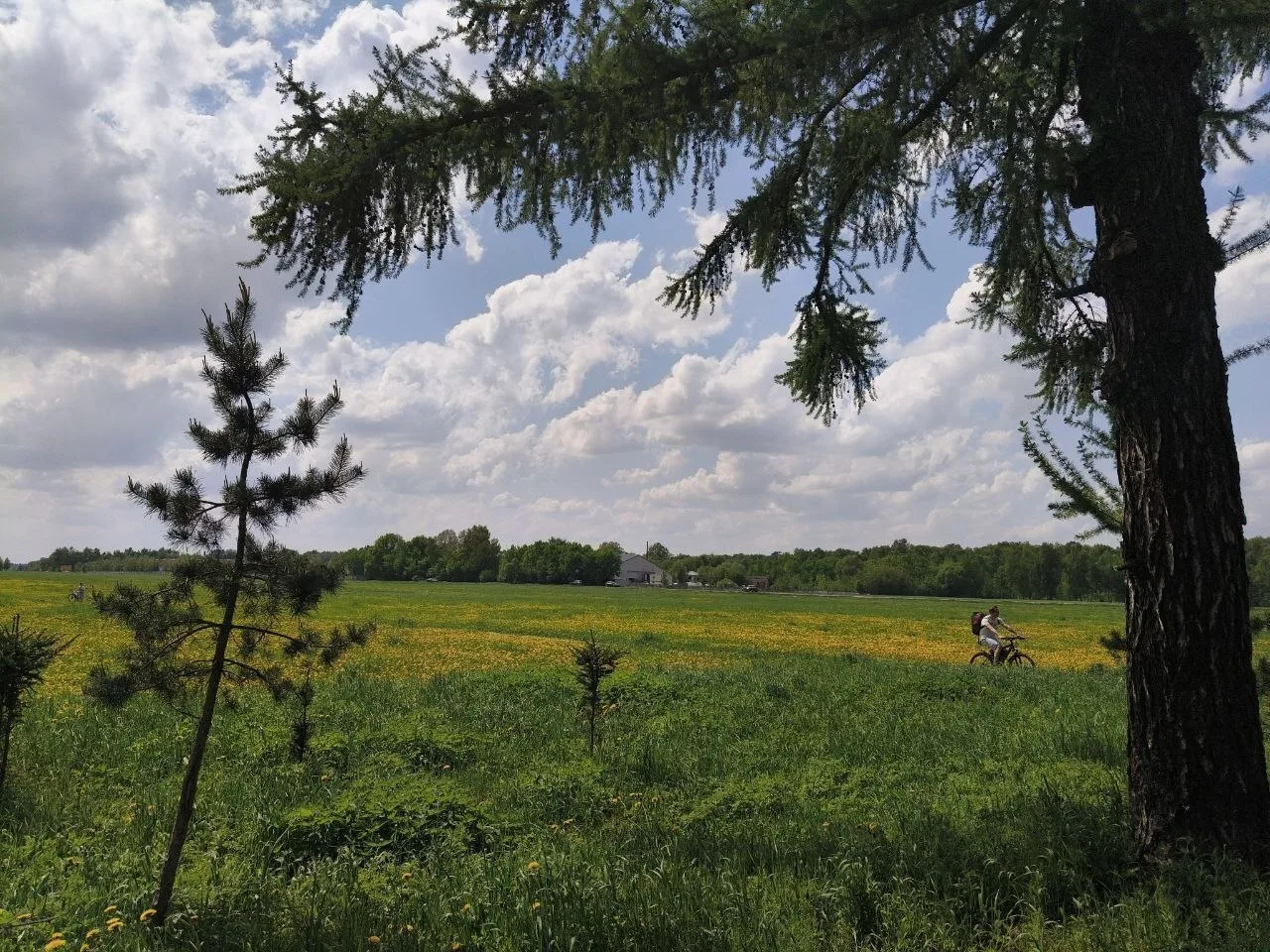☀️  Доброе утро, Подольск!  Погода сегодня радует: +30 °C за окном, ветер всего 3 м/с, атмосферное д