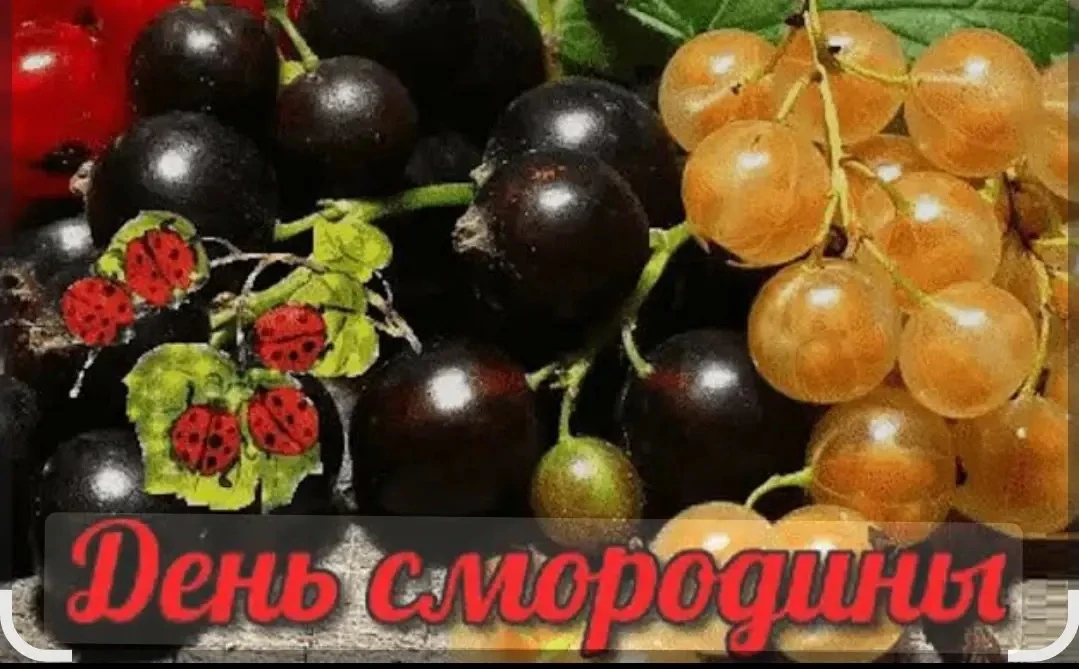 Лето в самом разгаре, а значит-пришло время самых сочных и полезных ягод! В группе №1 прошёл тематич