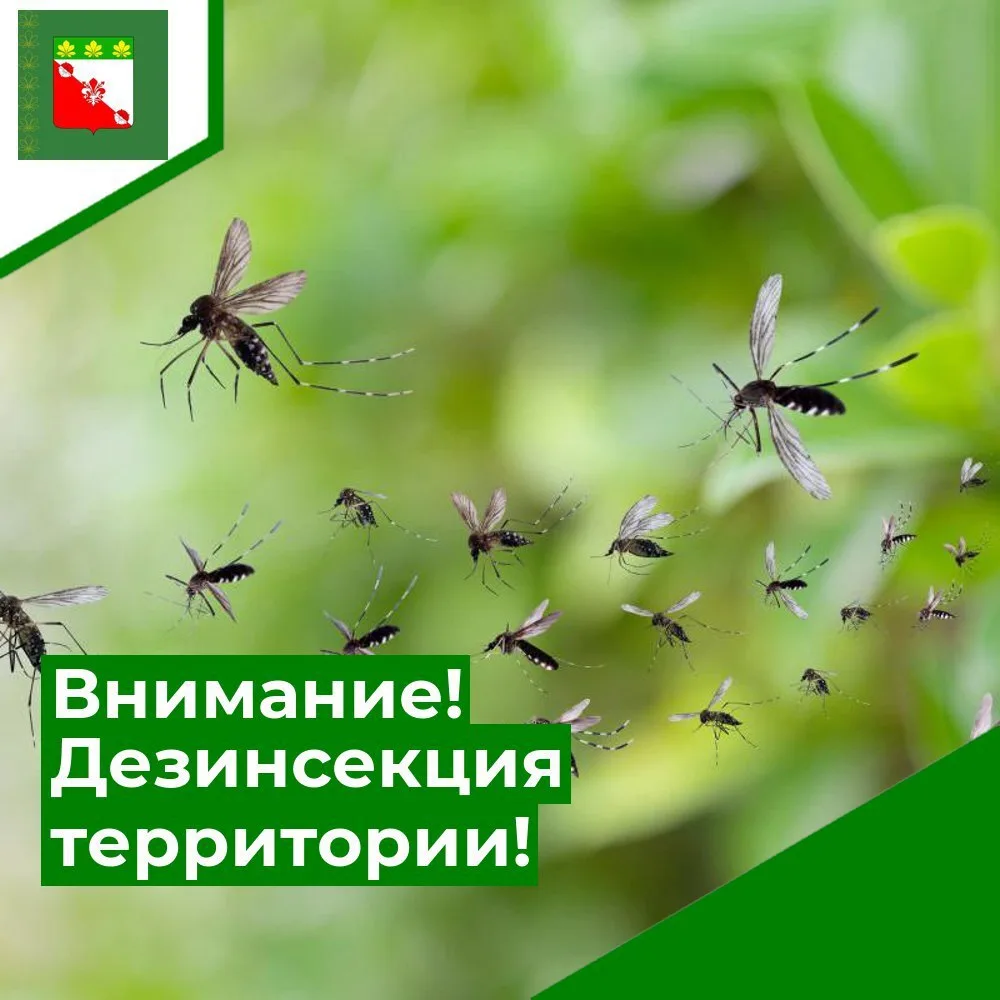 📣Уважаемые жители и гости Гирейского городского поселения!  

🦟Предварительно с 6:00 ч. 10 или 11 