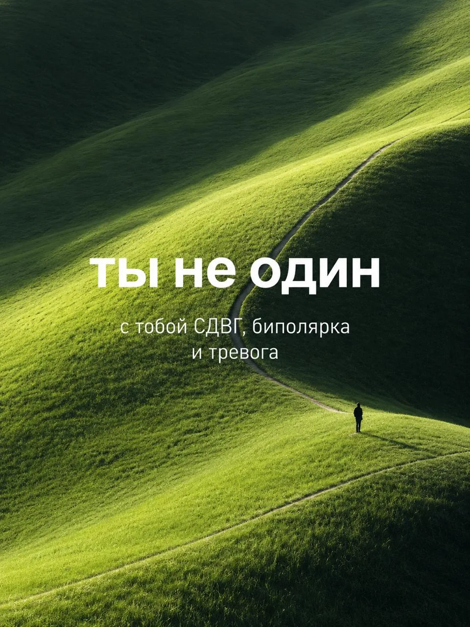 Базовая комплектация современного тревожника.