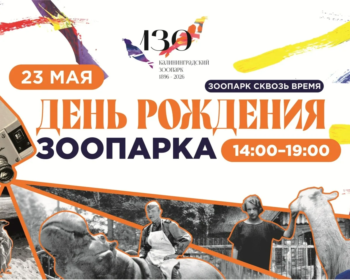 23 мая, суббота 🔔Время начала в 14:00, Зоопарк, пр-т Мира 26  Вход по входным билетам: взрослый -