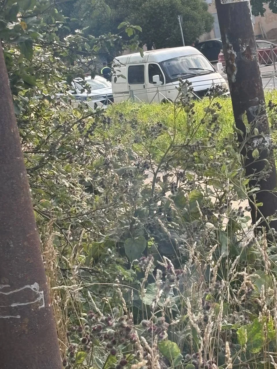 Не доезжая подсолнуха, в 2 палки стопают всех подряд