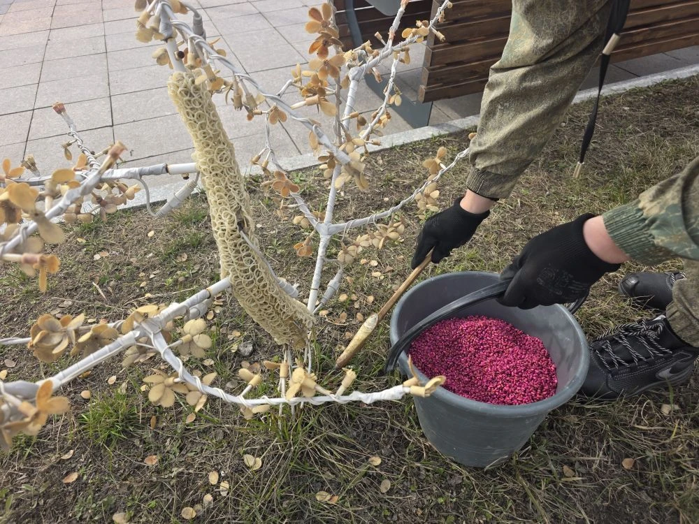 На набережной города Юности провели дератизацию - комплекс мер по борьбе с грызунами. Э...