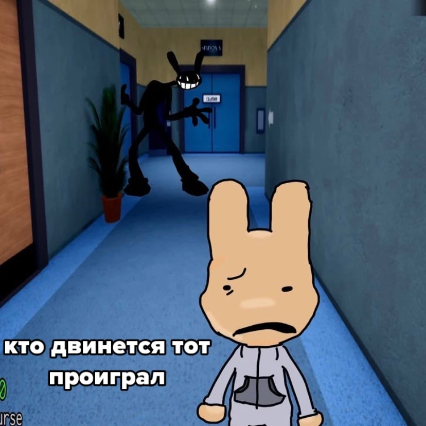 Больница для Животных. Подписаться