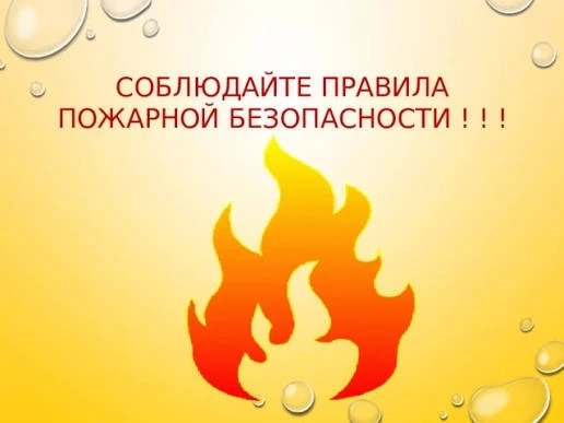 Когда лето становится опасным: всё о лесных пожарах