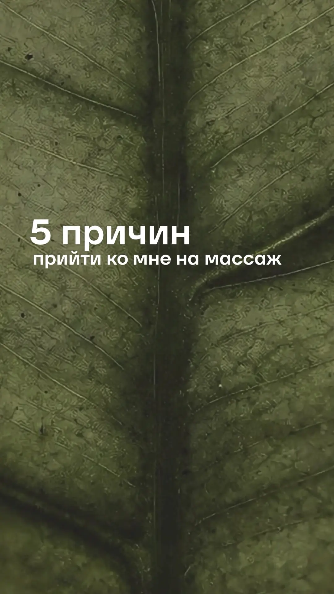Записаться на массаж или спа-ритуал можно по ссылке