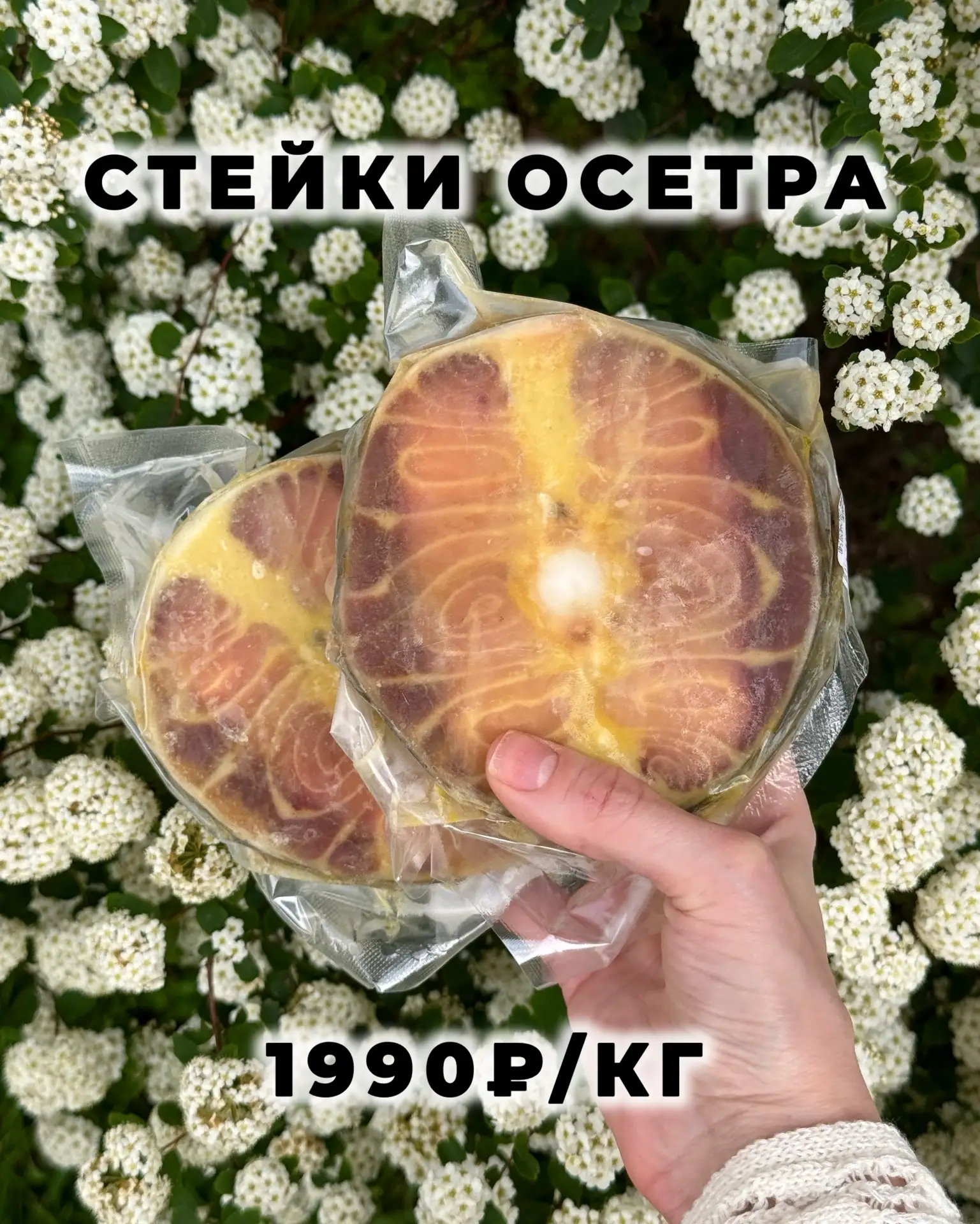 УуУХХХХ 💔 Что за красота пришла!  👑👑👑👑  Уникальный ДЕЛИКАТЕС царского ранга - стейки осетра 🔥 У них 