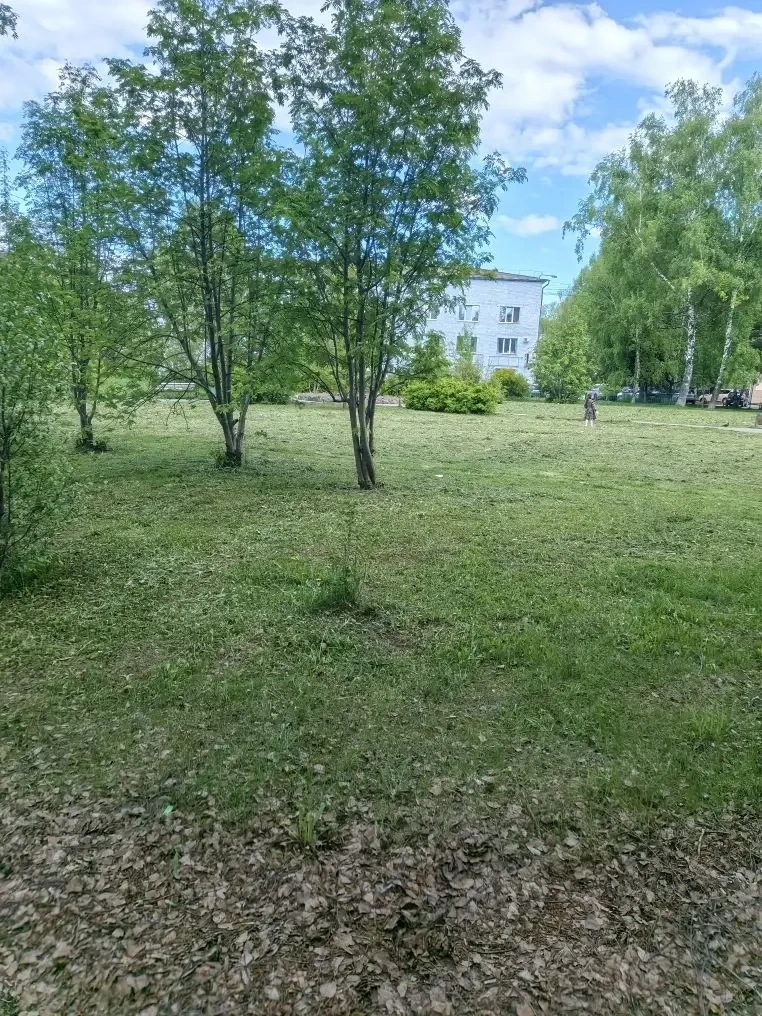🌾 Лето в порядке.
Сегодня привели в порядок зелёную зону у дома Победы, 41. Работы по покосу затрон