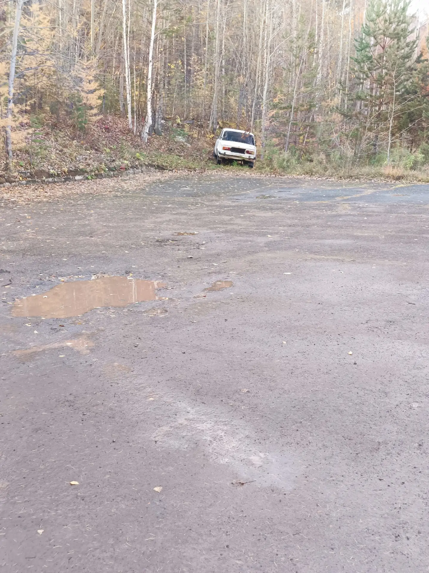 Кто потерял на мысе Пурсей?
