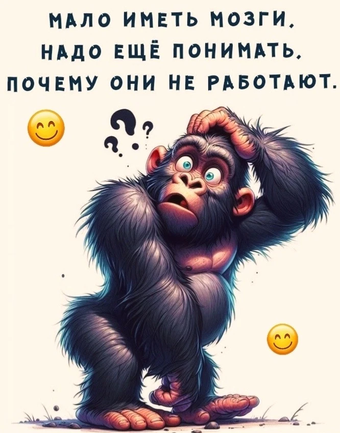 Женский юмор
