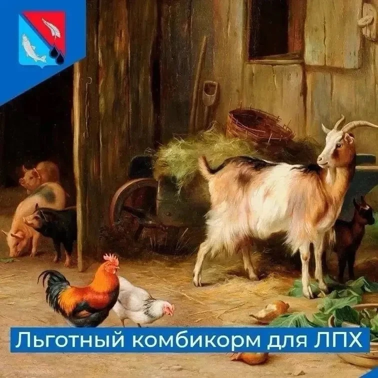 Администрация муниципального образования Ногликский муниципальный округ Сахалинской области доводит 