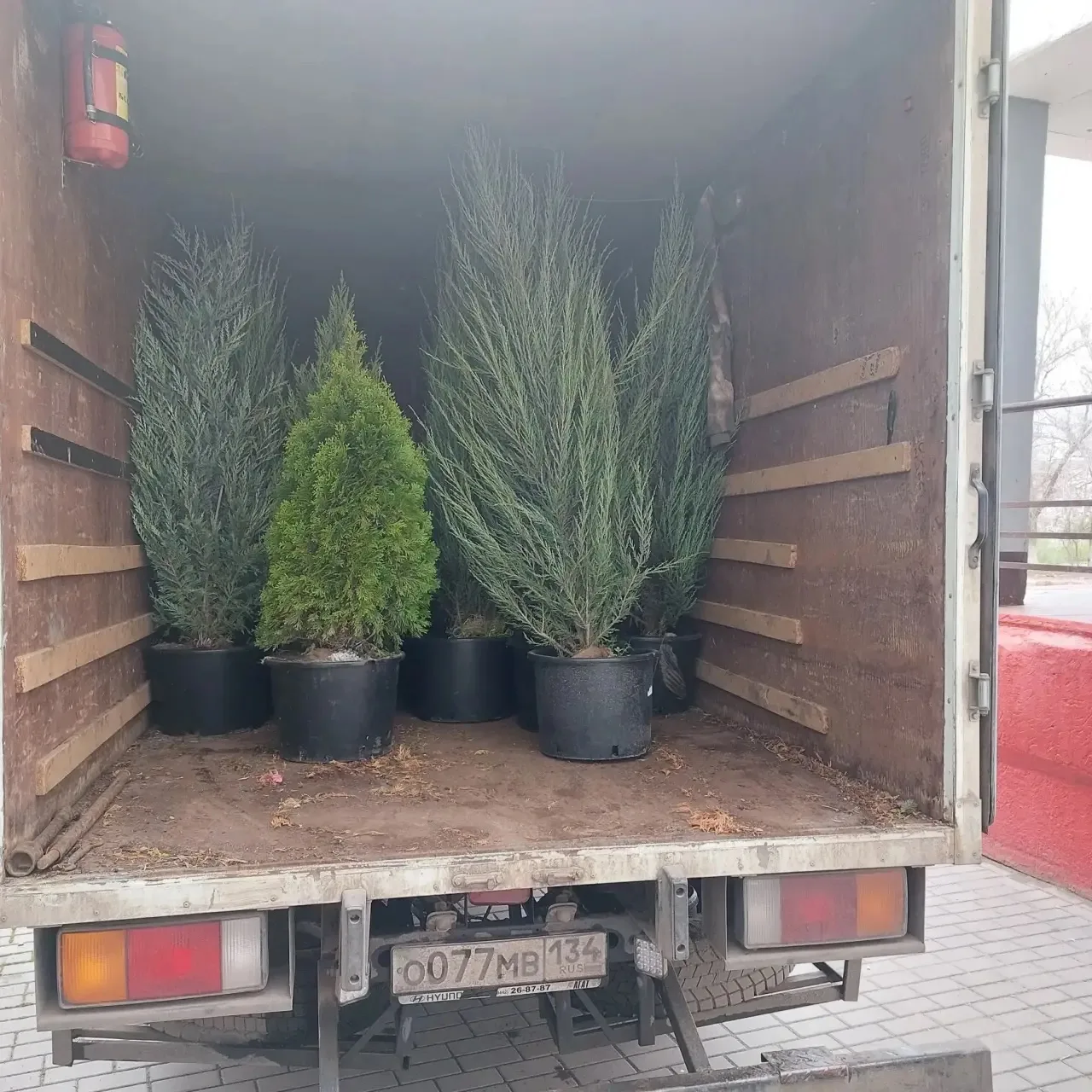 🌳Зеленый школьный двор: обновление нашего общего пространства🌳  💫Наш школьный двор стал заметно зеле