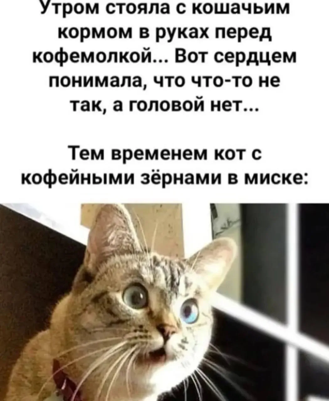 Встали? Не перепутали? 😂☀