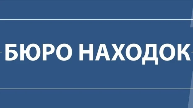 Утеряны ключи от машины с сигналкой в черном чехле, может кто-нибудь нашёл?