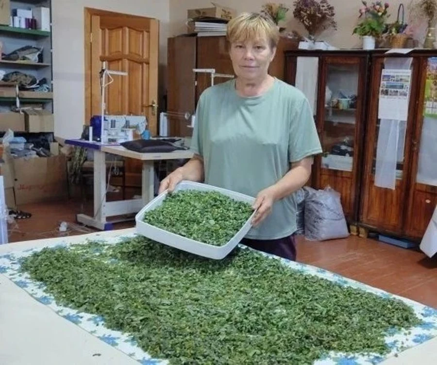 Волонтеры собрали целебные травы для наших героев

🌱Активисты нацпроекта «Семья», «Серебряные» воло