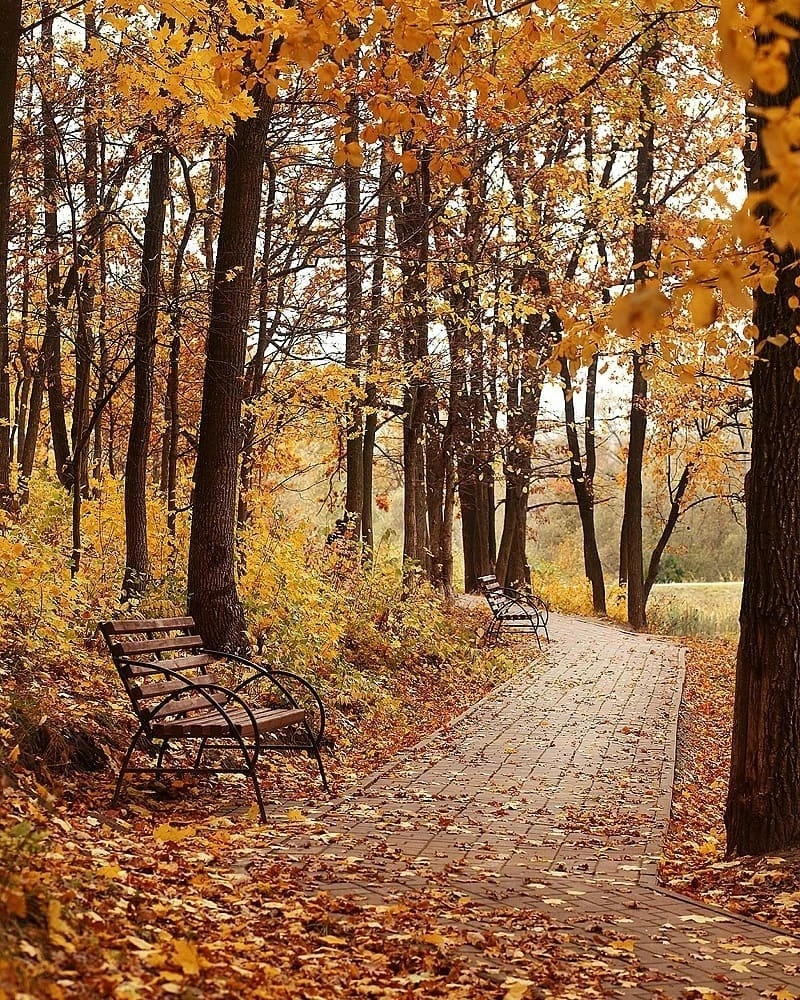 Доброе утро 🍁