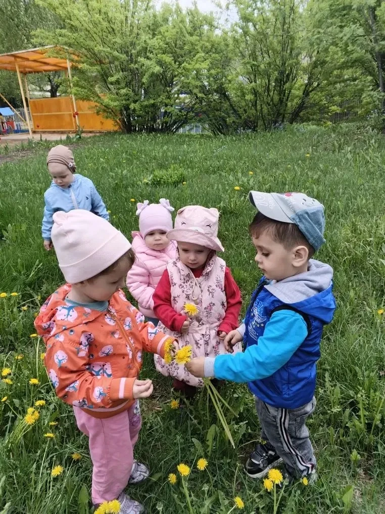 День одуванчика !!!