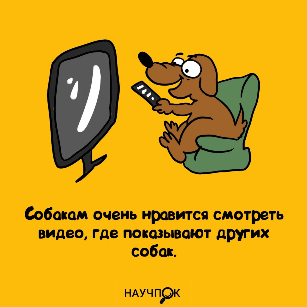 А могли бы лучше книги читать 😅