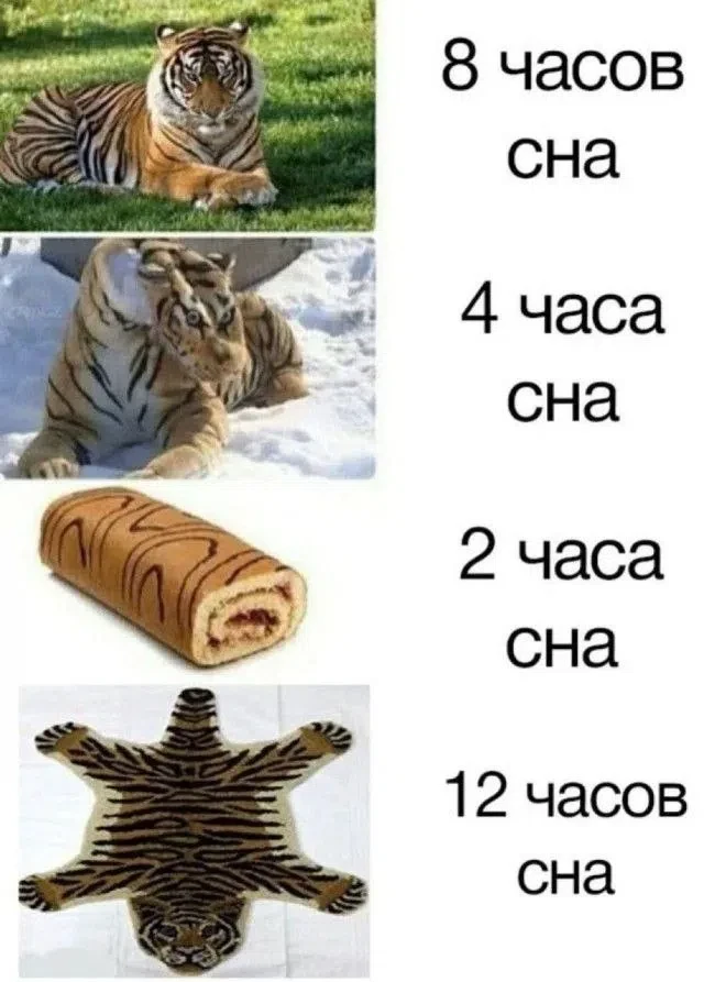 С добрым утречком, махарошие!🥰