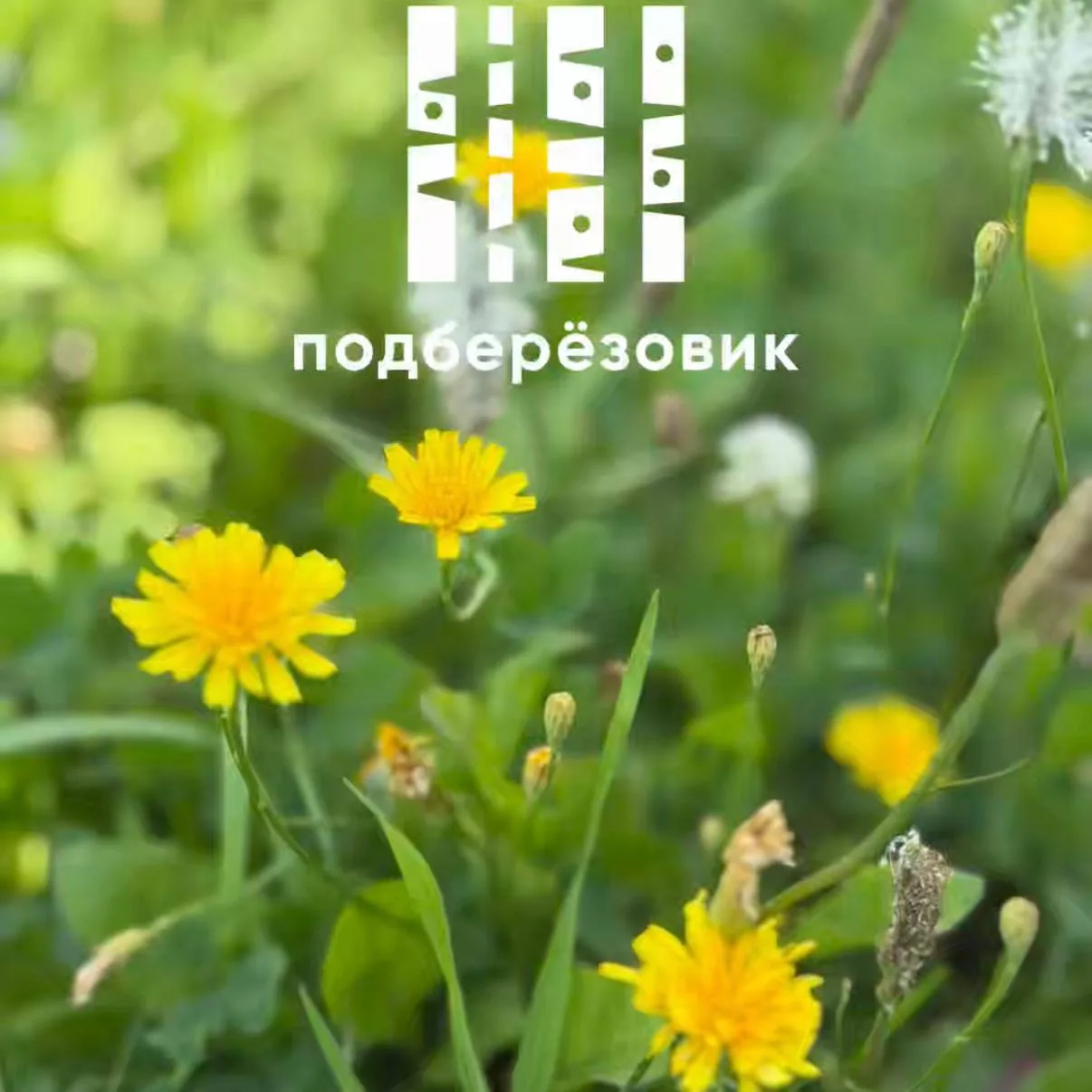 🥱Доброй ночи, друзья!

Последние часы свободы перед понедельником. Если завтра утром не захочется в