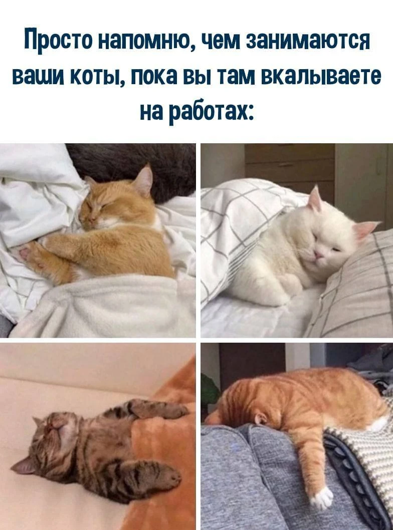 Ветер с Моря Дул
