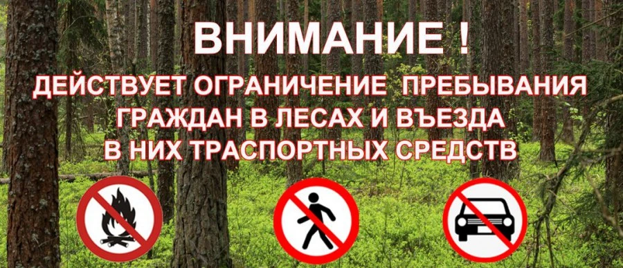 Внимание! В лесах Башкортостана вводится ограничение на посещение и въезд транспорта с ...