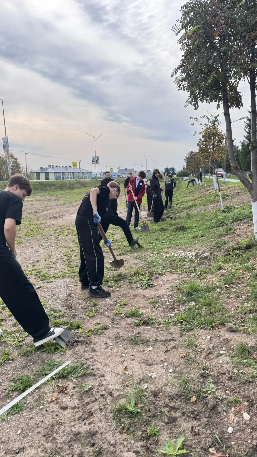 🌳 Сегодня ученики нашей гимназии приняли участие в посадке деревьев!