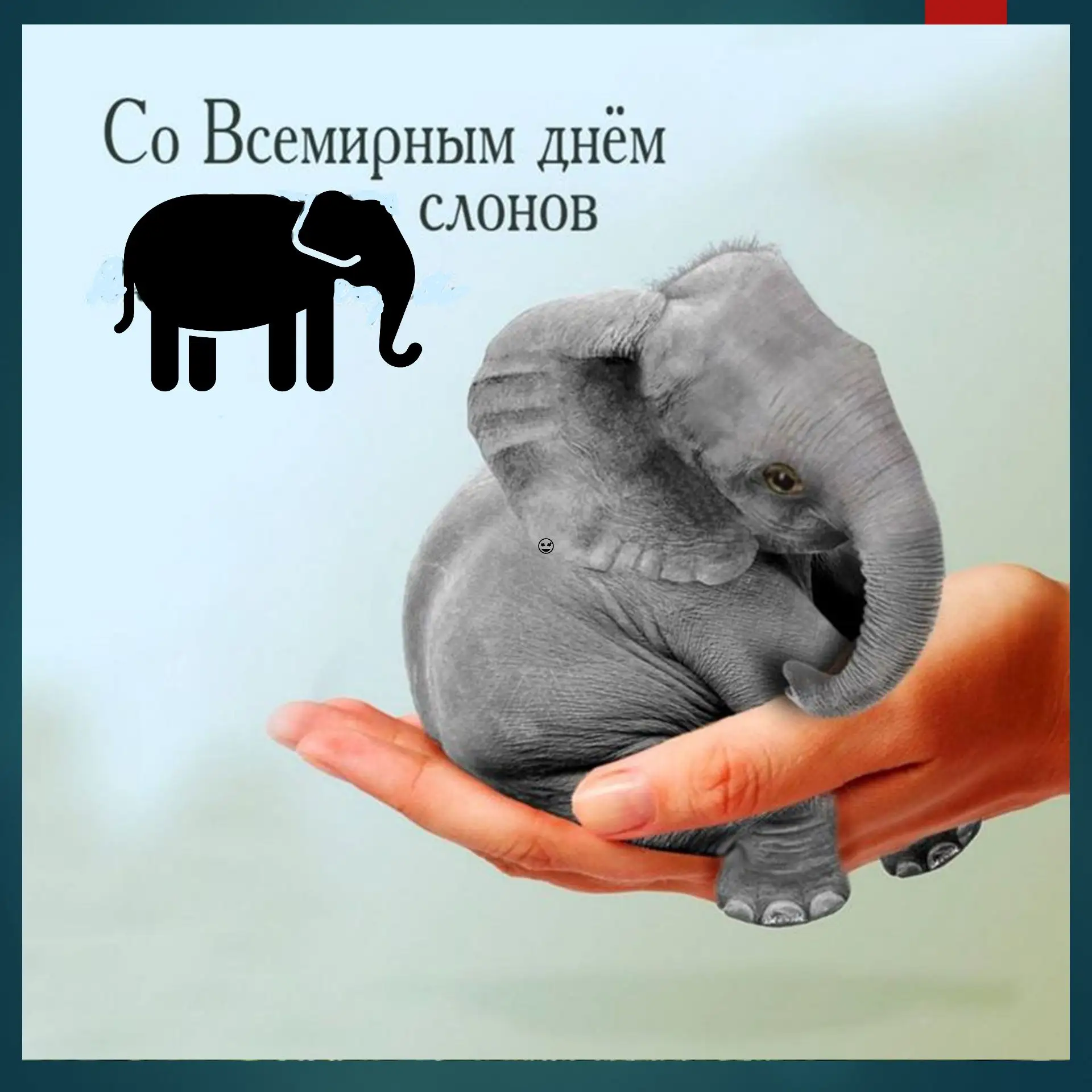 🐘Ежегодно 12 августа во многих странах отмечается Всемирный день слонов, посвященный з...