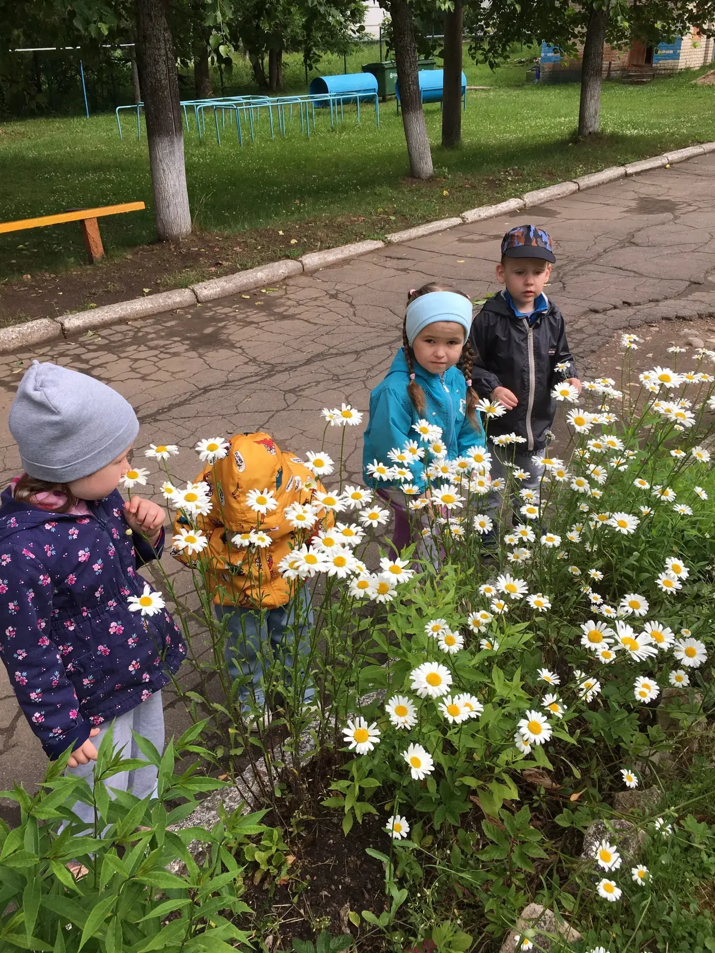 С приходом лета всё вокруг преображается. Природа словно оживает, наполняя мир яркими красками и неж