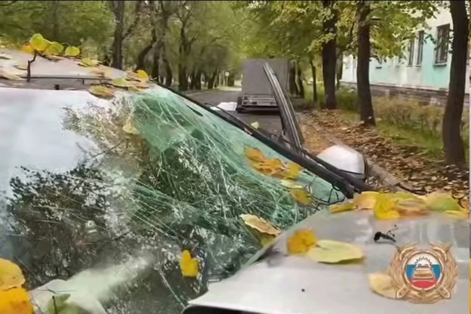 В Железногорске скончалась семилетняя девочка, пострадавшая в ДТП