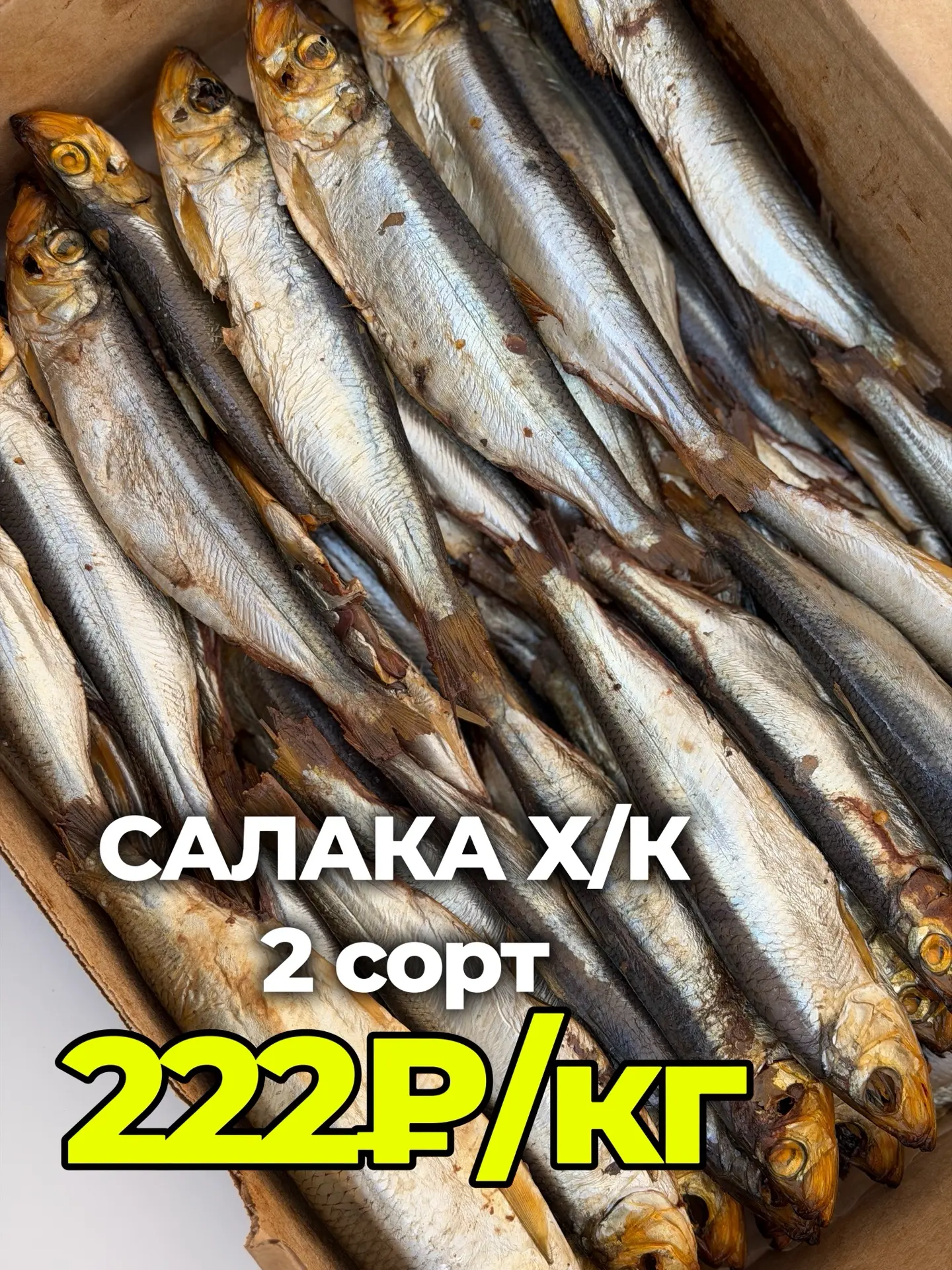 В наличии вкусная рыбка - САЛАКА холодного копчения 2 сорт🔥

🏷️Цена 222₽/кг