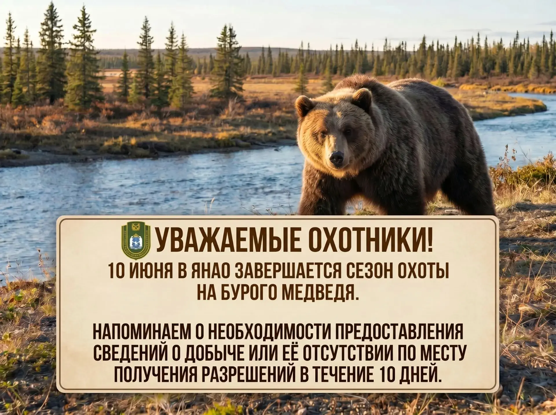 ❗Уважаемые охотники!

10 июня в ЯНАО завершается сезон охоты на бурого медведя.🐻
Напоминаем о необх
