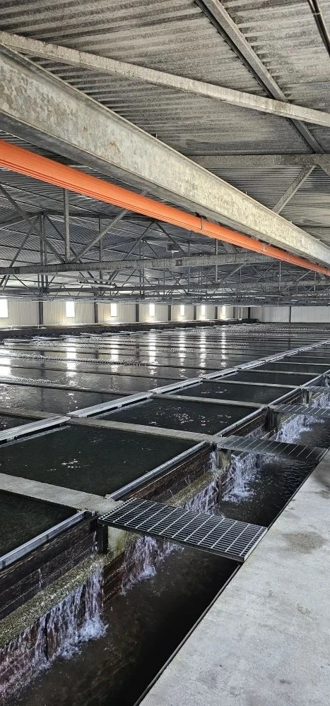 🐟 Экскурсия к истокам жизни: 2 «М» класс на Охотском лососёвом рыбоводном заводе!  Сегодня для наших