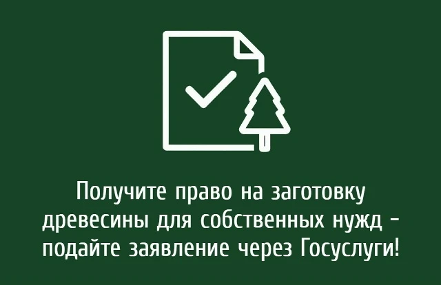 🌲 Получите право на заготовку древесины для собственных нужд — подайте заявление через...