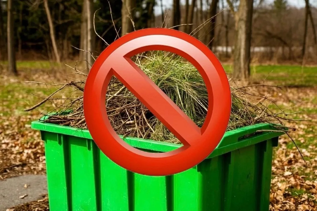 ❗Уважаемые жители города Бугуруслана! 

 ☝Хотим напомнить вам про важное правило, которое теперь обя