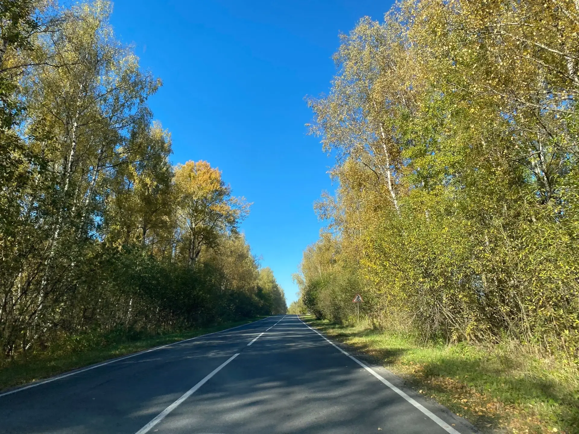 Осенняя дорога Вязники-Мстера