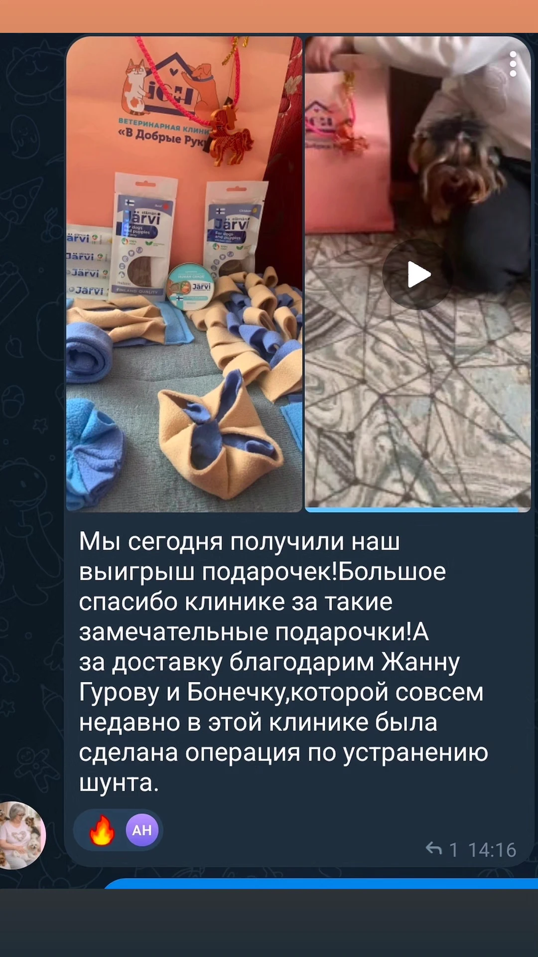 Принять участие в конкурсе можно по ссылке https://t.me/ingoodhandsvet/2112