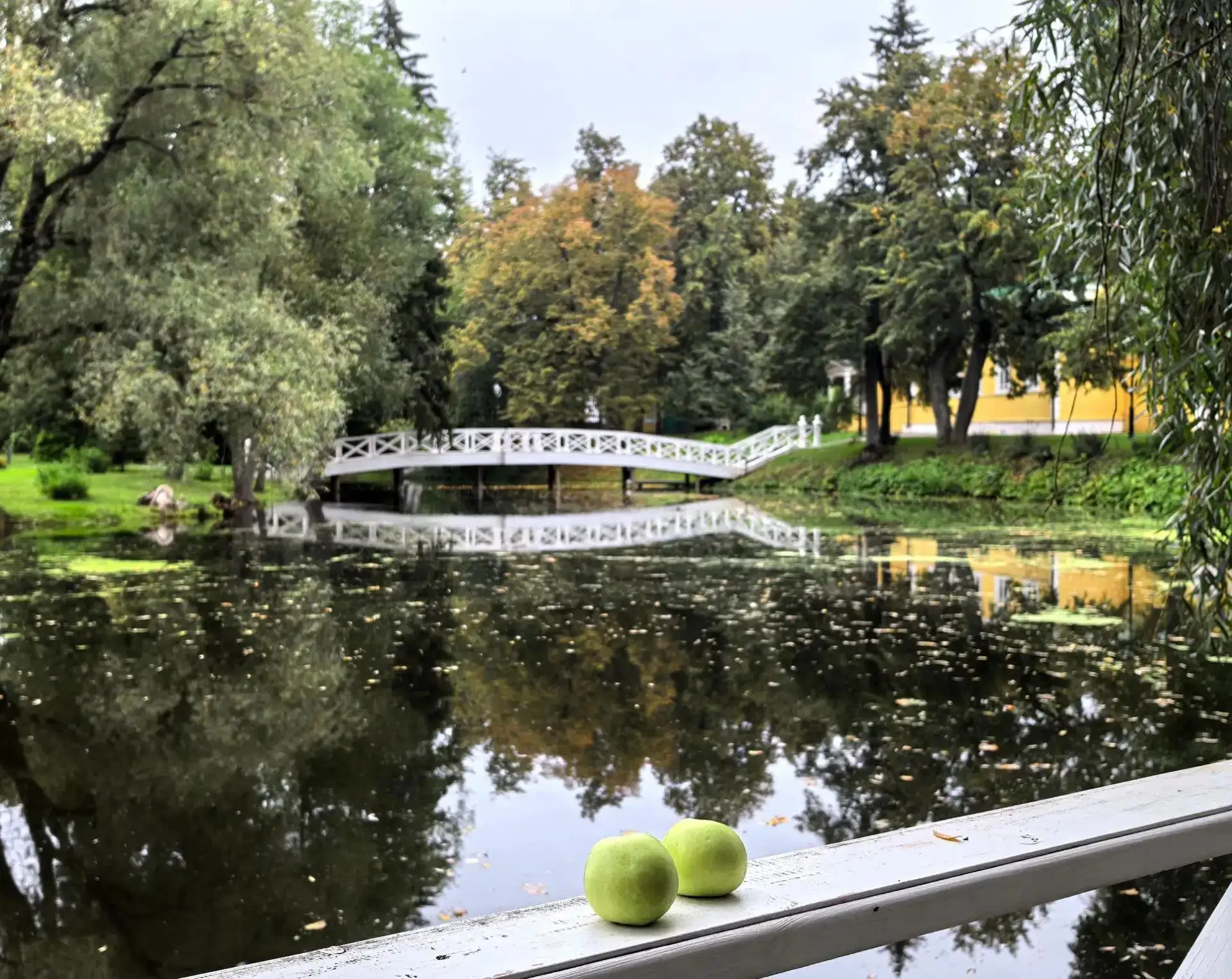 🍎 Яблочный Спас: праздник света, яблок и болдинской благодати!