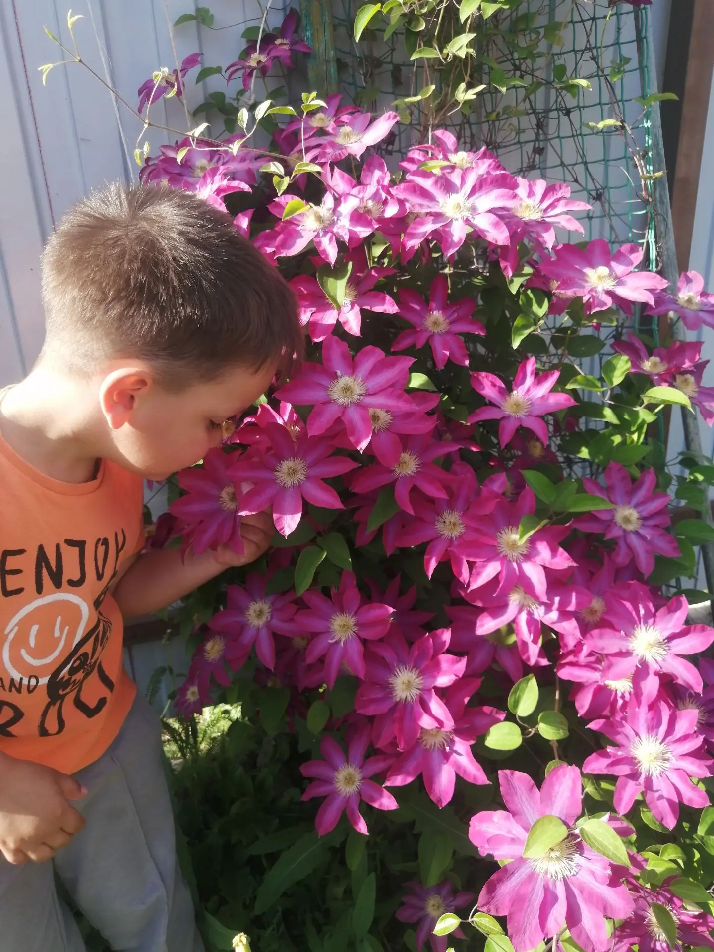 Доброе утро🌼