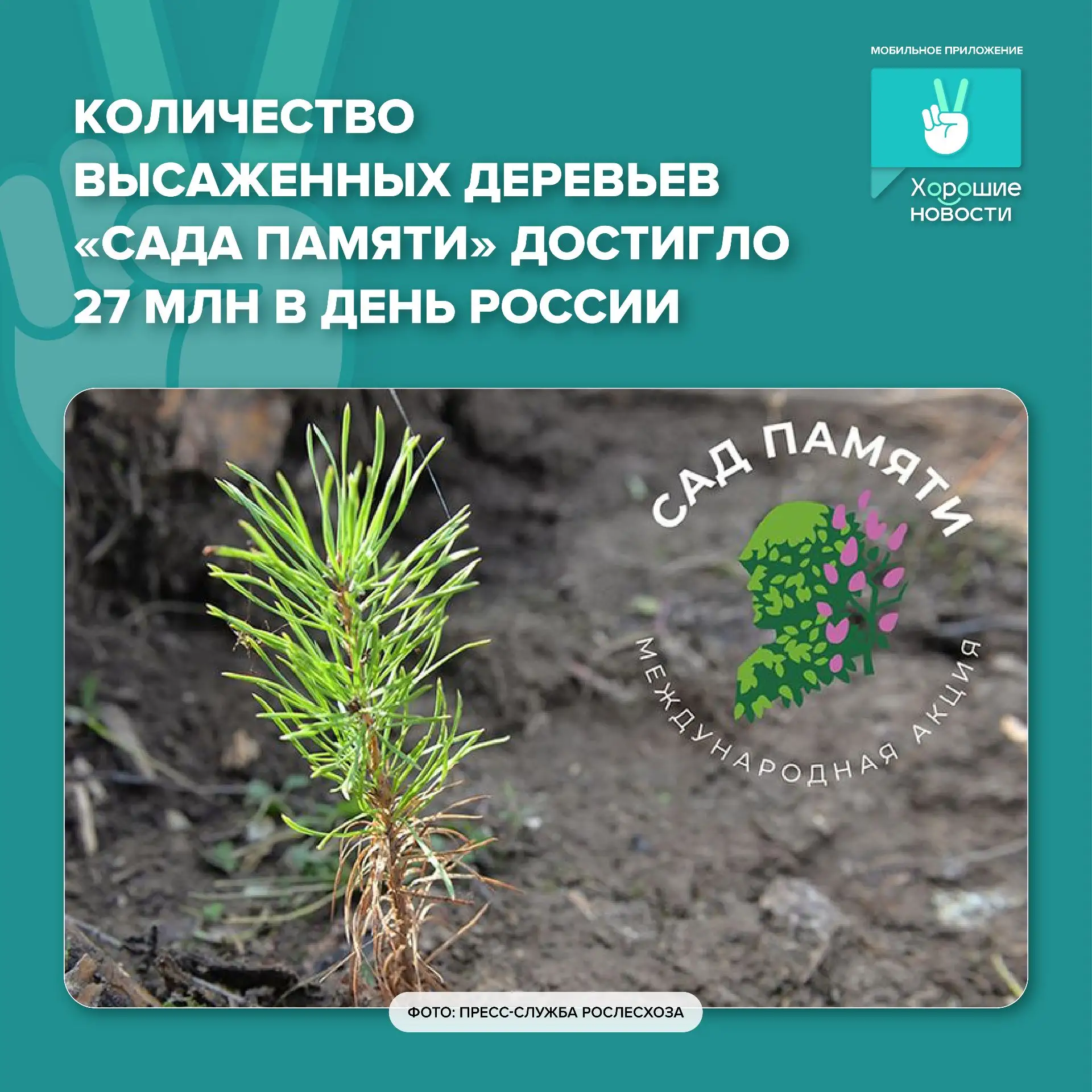 📰 ТОП хороших новостей недели

Друзья, делимся с вами популярными новостями недели!

Эти новости ст