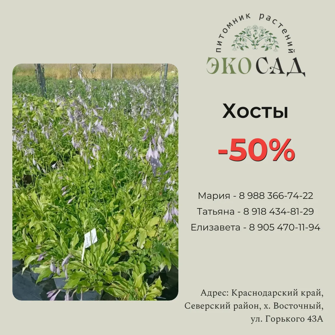 🍂 Август в питомнике: новые акции и подарки!
 
Июль пролетел, и мы встречаем август с обновлёнными 