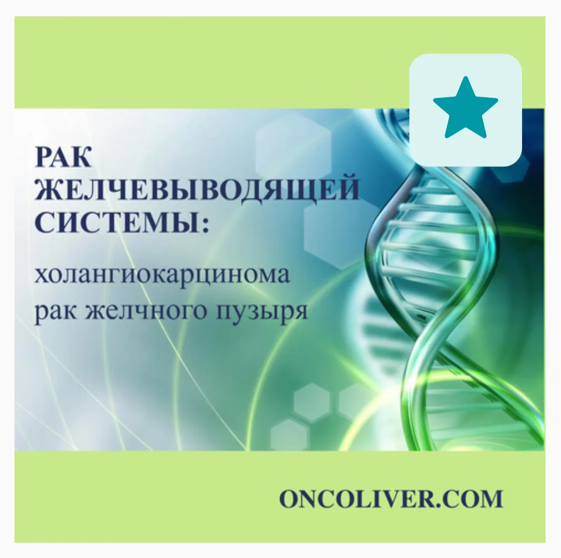 ВАША ОЦЕНКА
