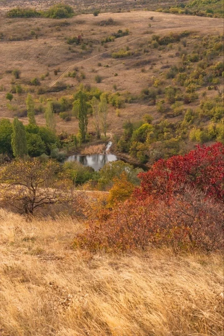 🏔️ Смотровая у ущелья Малого Салгира — уже горы, отроги Долгоруковской яйлы.